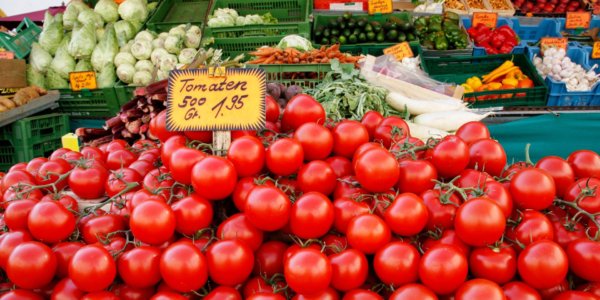 Chat GPT Tomato Tested